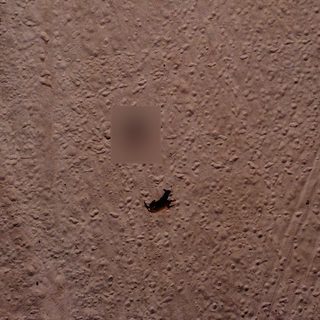 Mosty visto da 20 m: 176 pixel di larghezza