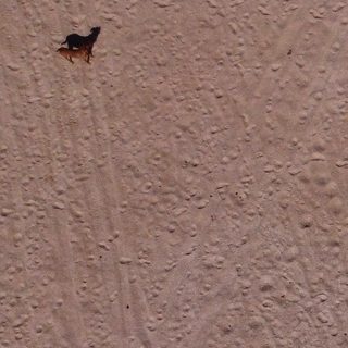 Mosty visto da 31 m: 115 pixel di larghezza