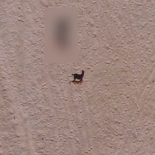 Mosty visto da 73 m: 56 pixel di larghezza